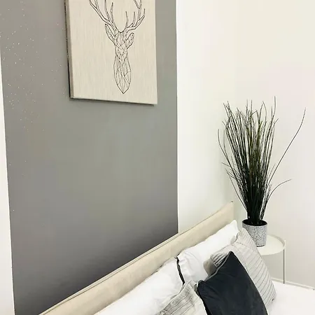 Rooms, Location For Tourists Albergue